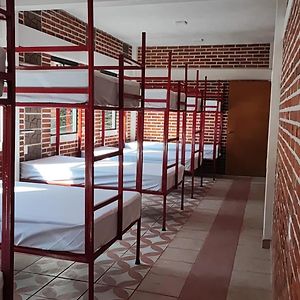 Habitación para Mujeres Compartida